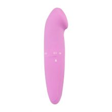 Loving Joy Mini G-Spot Vibrator - Purple
